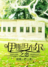 伊斯坦布尔之恋
